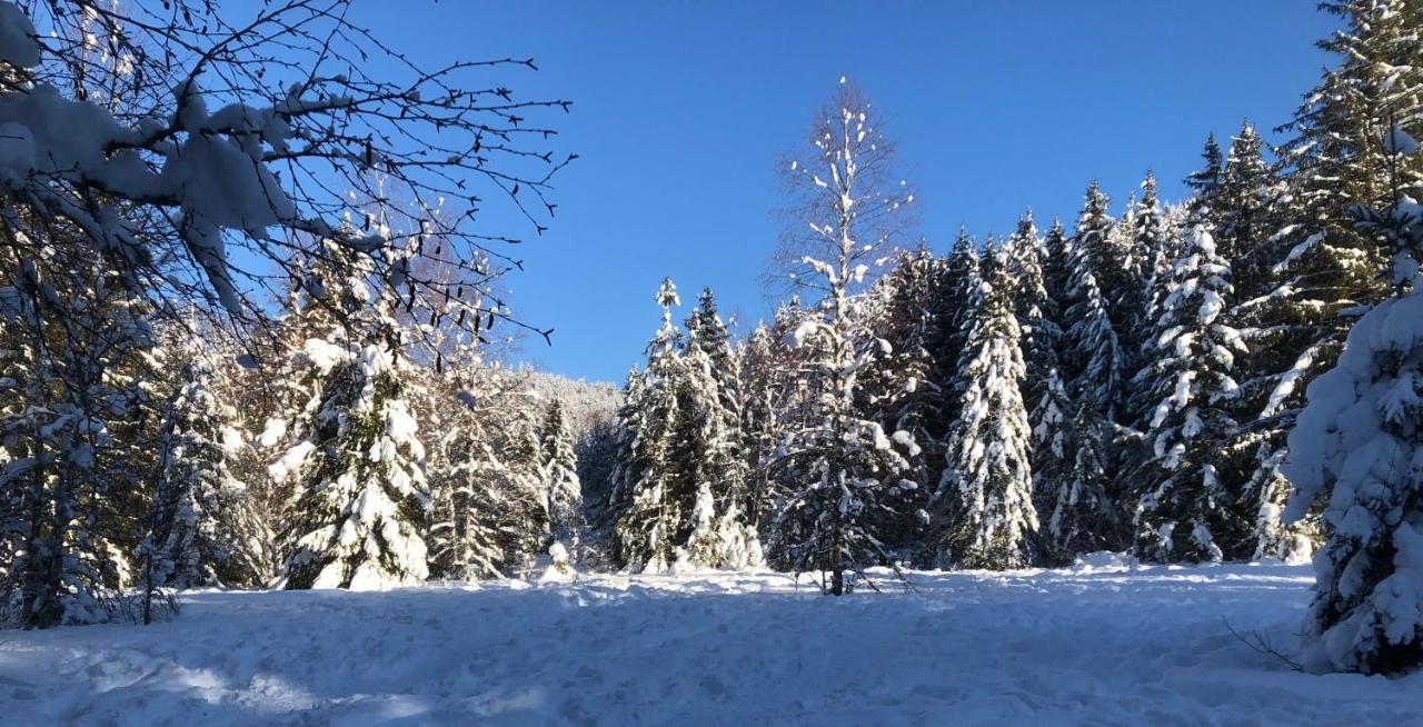 Le Batelier Du Lac Gérardmer Екстериор снимка