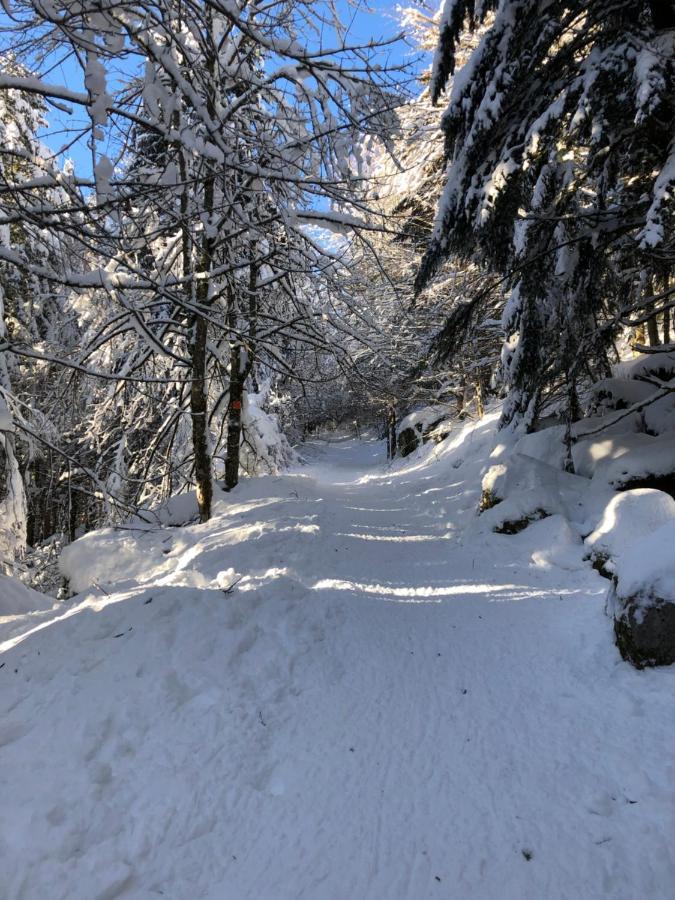 Le Batelier Du Lac Gérardmer Екстериор снимка
